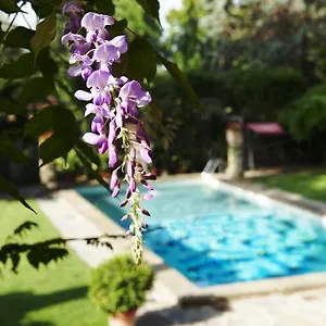Park Palace Hotell